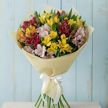 Букет цветов из:  Альстромерии #REPLACE_PRED# Горноуральский