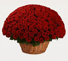 Премиум букет из: Розы в Горноуральский